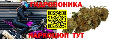сатива Пыть-Ях