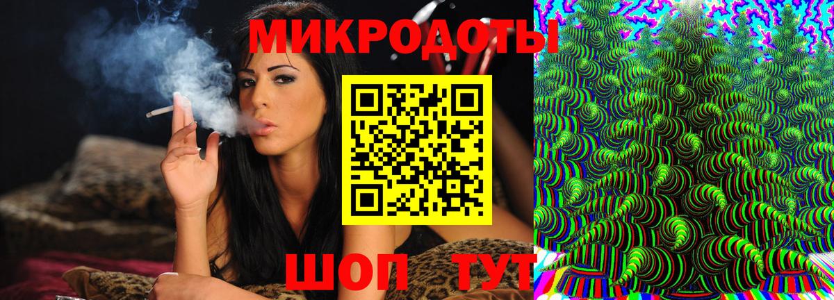 Псилоцибиновые грибы Psilocybe Павлово
