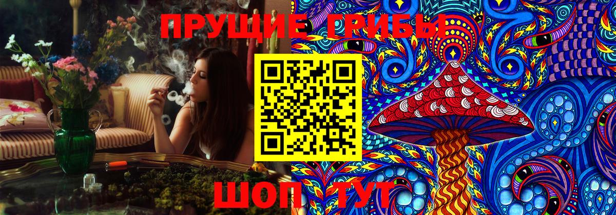 Псилоцибиновые грибы Psilocybe  Вход с VPN  Павлово  закладка  Галлюциногенные грибы Cubensis 